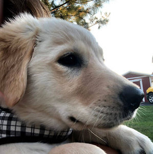 Meet your Posher, Brooke